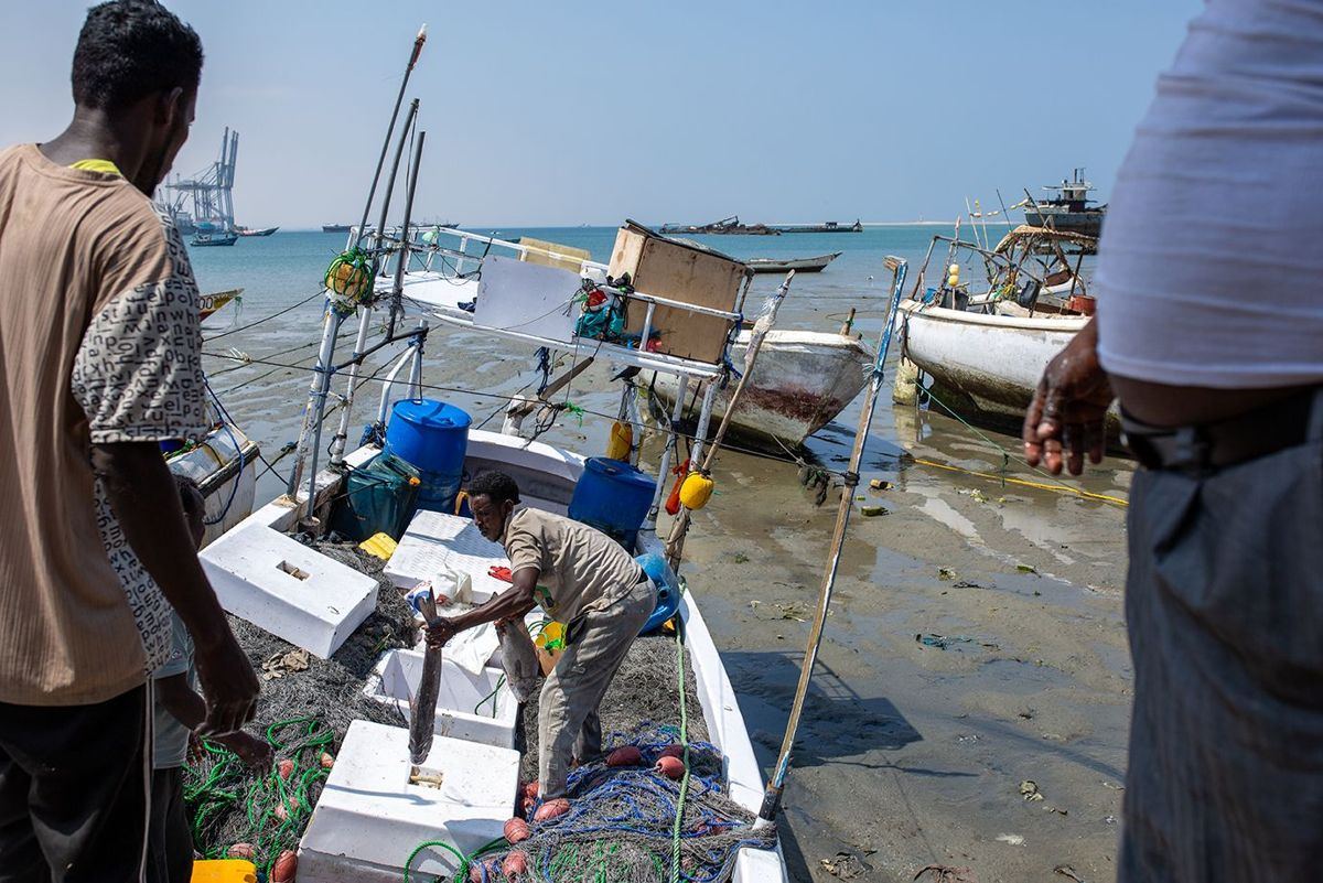 Partners visiting the fishery in Berbera