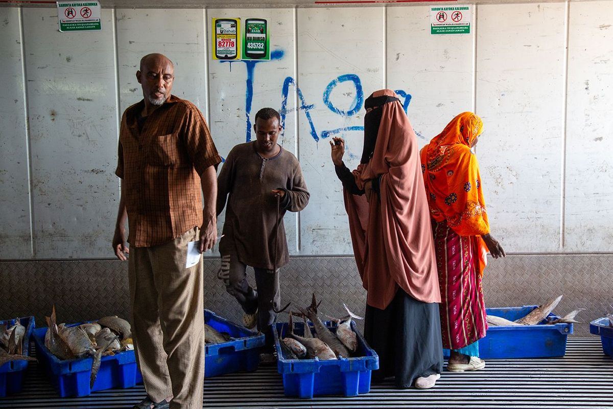Partners visiting the fishery in Berbera